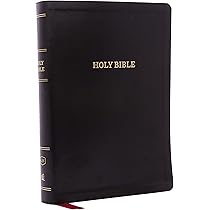 洋書 HOLY BIBLE 1878 The Holy Bible